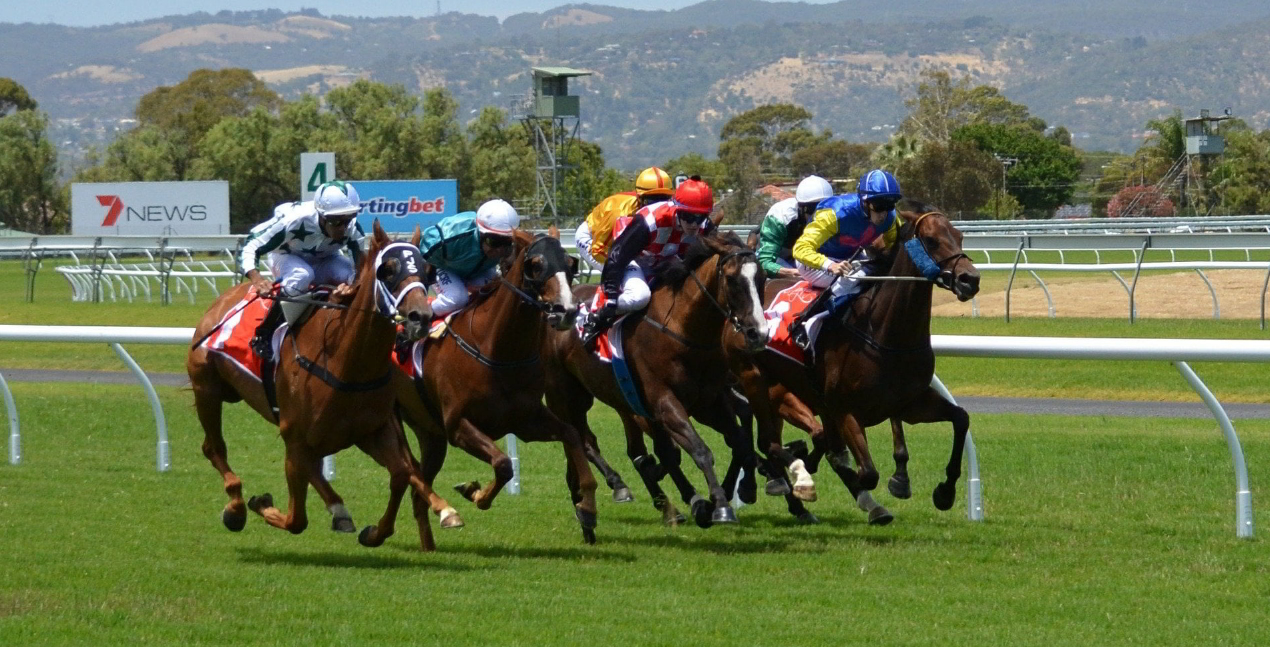 horse racing tips melbourne