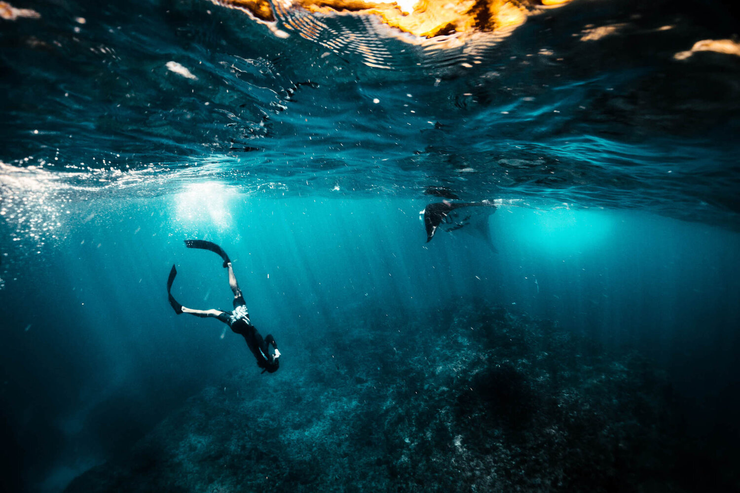 freediving course Bali