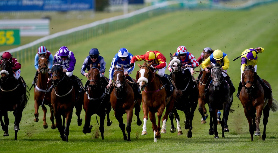 Professional Horse Racing Tips